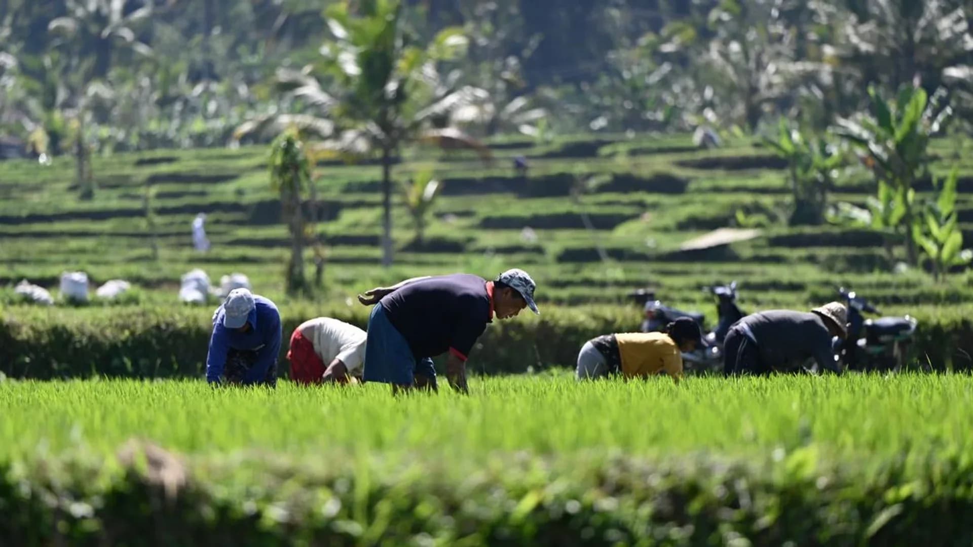22 BUMN Cetak Laba Positif, Pupuk Indonesia Melesat 202 Persen