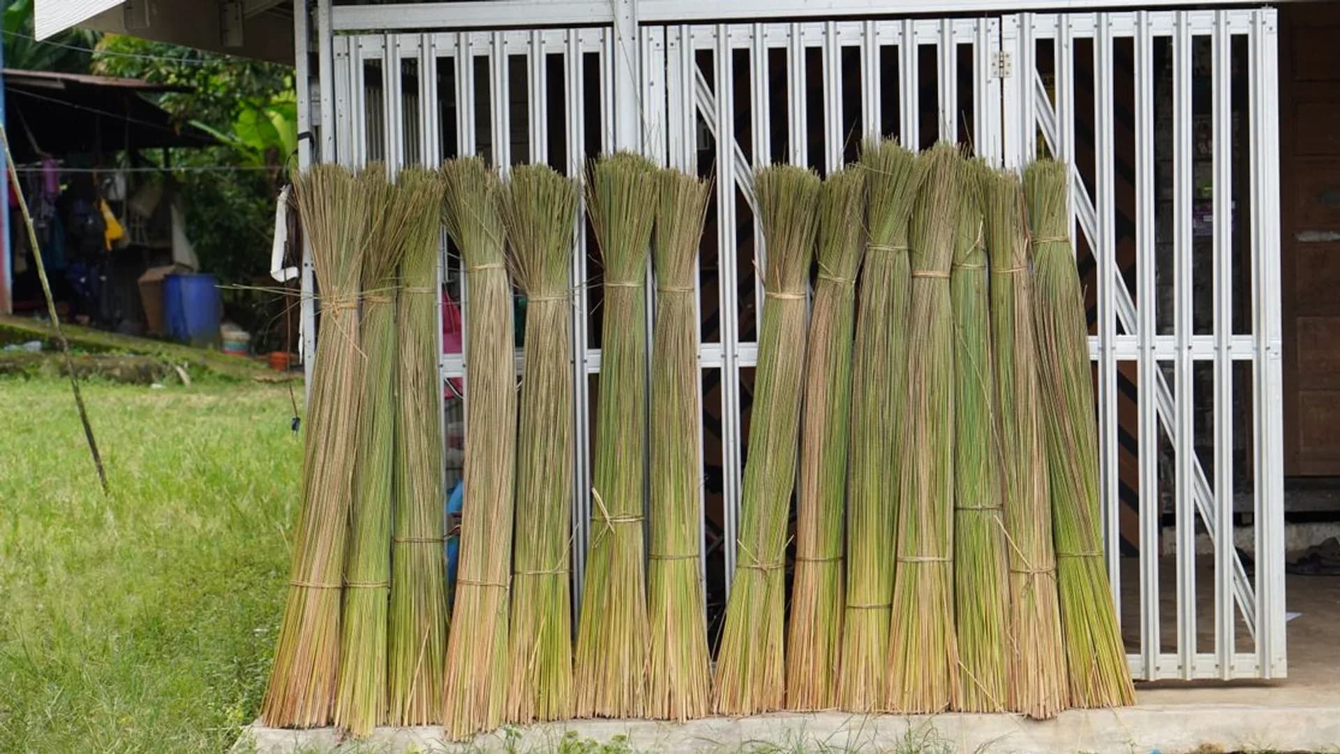 Bobibos: Bahan Bakar dari Jerami Inovasi PT Inti Sinergi Formula
