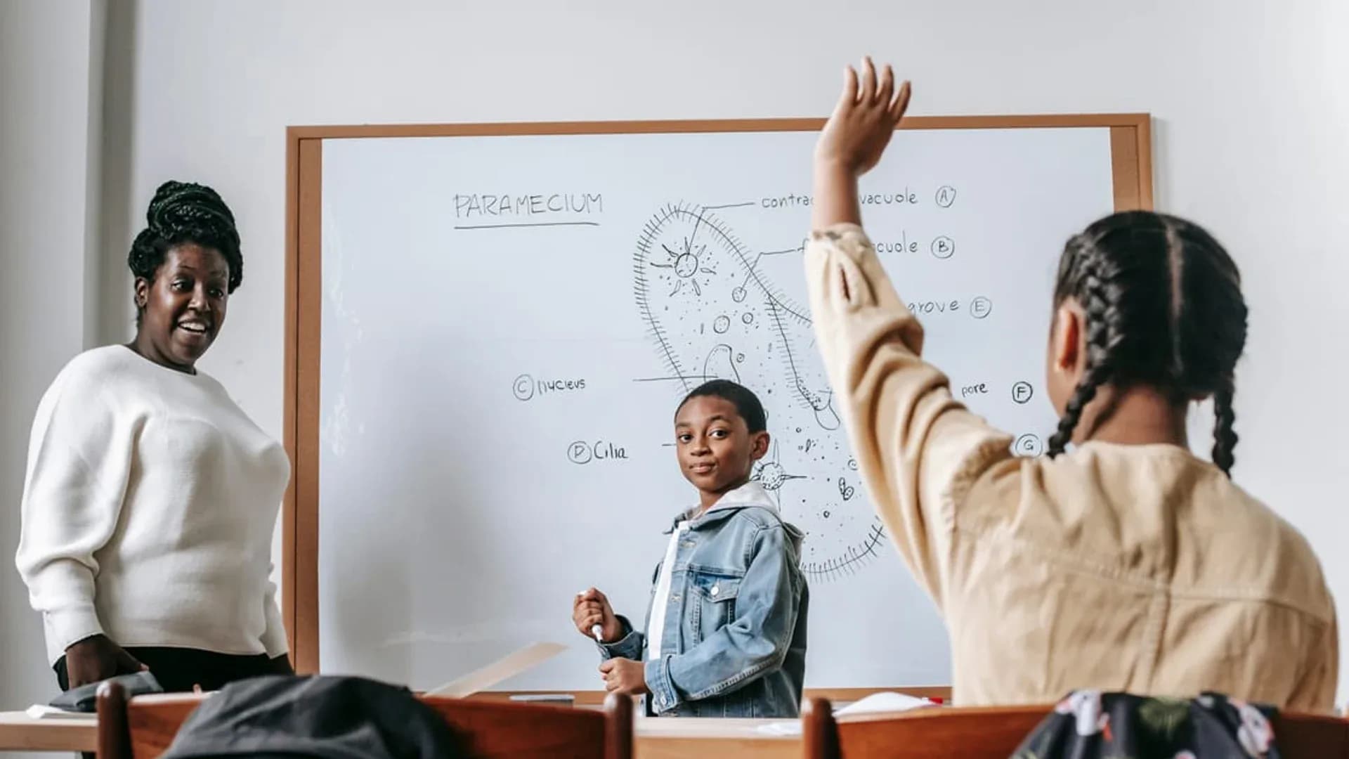 Pendidikan STEM Indonesia — skor PISA dan revitalisasi